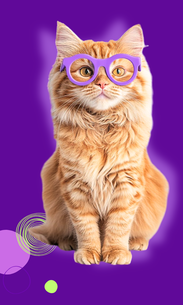 strategie-marketing-numerique-ruva-creations